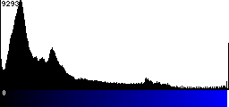 Blue Histogram