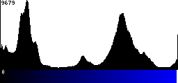 Blue Histogram