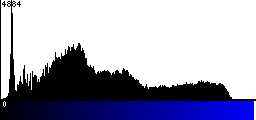 Blue Histogram