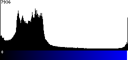 Blue Histogram
