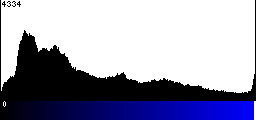 Blue Histogram
