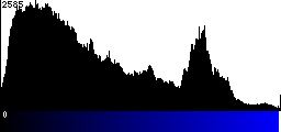Blue Histogram