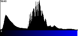 Blue Histogram