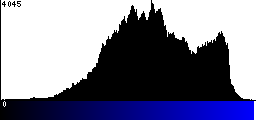 Blue Histogram