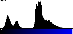 Blue Histogram