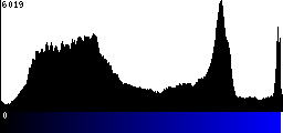 Blue Histogram