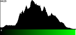 Green Histogram