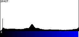 Blue Histogram
