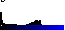 Blue Histogram