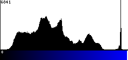 Blue Histogram