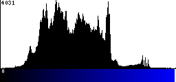 Blue Histogram