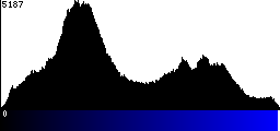 Blue Histogram