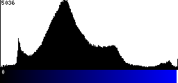 Blue Histogram