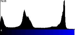 Blue Histogram