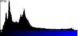 Blue Histogram