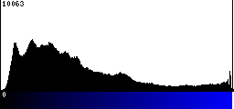 Blue Histogram