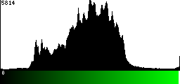 Green Histogram