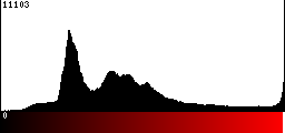 Red Histogram