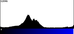 Blue Histogram