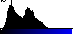 Blue Histogram