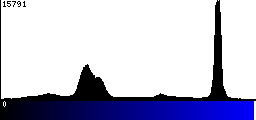 Blue Histogram