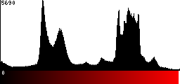 Red Histogram