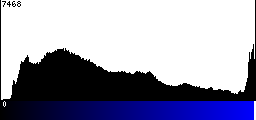 Blue Histogram