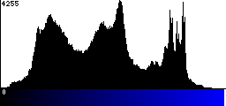 Blue Histogram