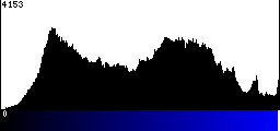 Blue Histogram