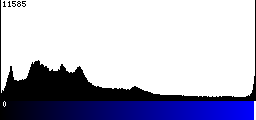 Blue Histogram