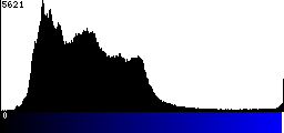 Blue Histogram