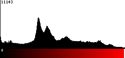 Red Histogram