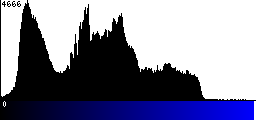Blue Histogram