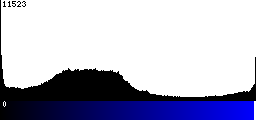 Blue Histogram