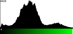 Green Histogram