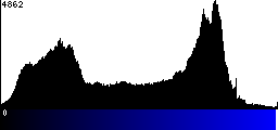 Blue Histogram