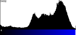 Blue Histogram