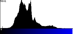 Blue Histogram