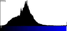 Blue Histogram