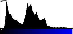 Blue Histogram