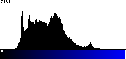 Blue Histogram