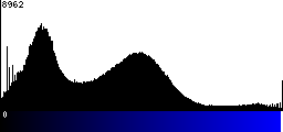 Blue Histogram