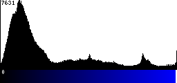 Blue Histogram