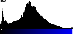 Blue Histogram