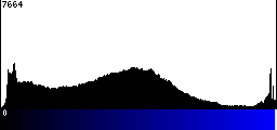 Blue Histogram