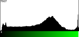 Green Histogram
