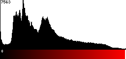 Red Histogram