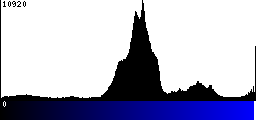 Blue Histogram