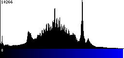 Blue Histogram