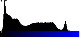 Blue Histogram